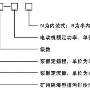 45kW礦用隔爆型排污排沙潛水電泵